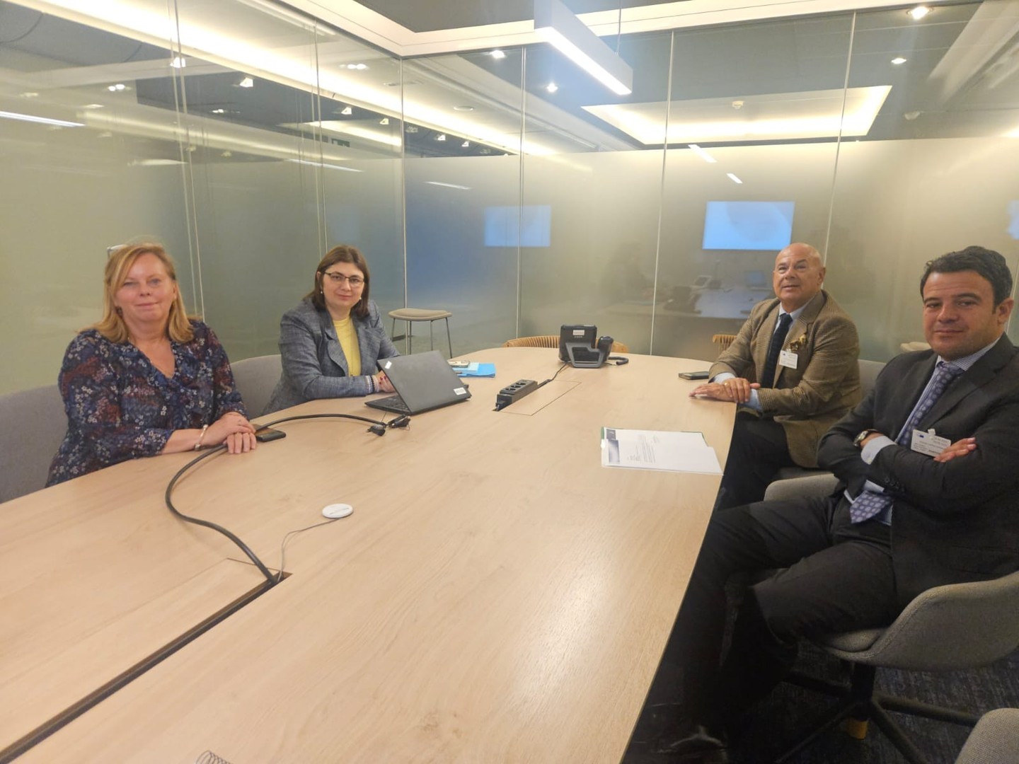 Reunión con Raluca Ipate, de la Comisión Europea, sobre los retos de la artesanía en Europa